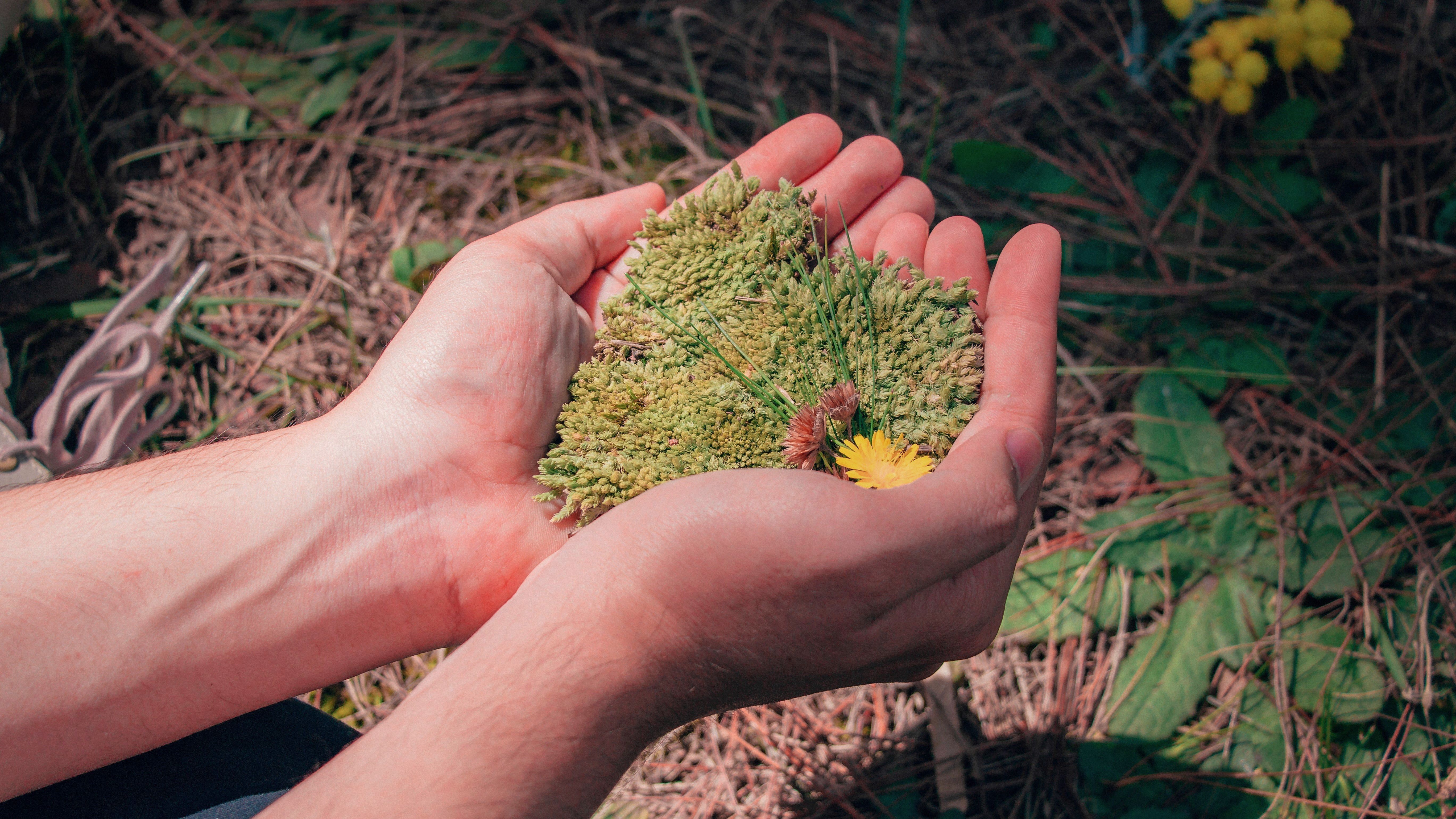 Livros sobre Natureza e Ambiente